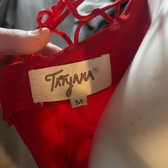 Tatyana Alika Pencil Dress - Picture 4 of 4